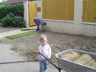 Rollrasen verlegen